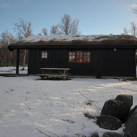 Northern Gate Besseggen - Cottage No 17 In Besseggen Fjellpark Maurvangen Exterior photo
