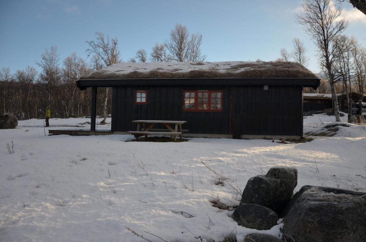 Northern Gate Besseggen - No 17 In Besseggen Fjellpark